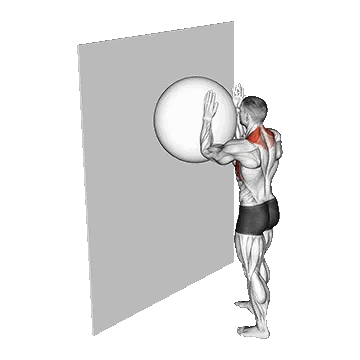 Exercise Ball Serratus Wall Slide/وال اسلاید سراتوس با توپ