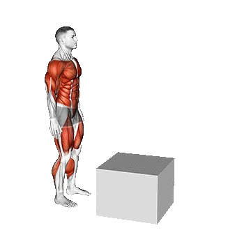 Jump Pistol Squat to Box/پرش باکس اسکات تک پا