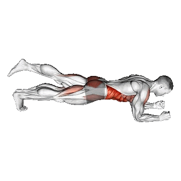 Front Plank One Leg/پلانک تک پا