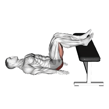 Glute Bridge Two Legs on Bench/پل باسن دوپا رو نیمکت