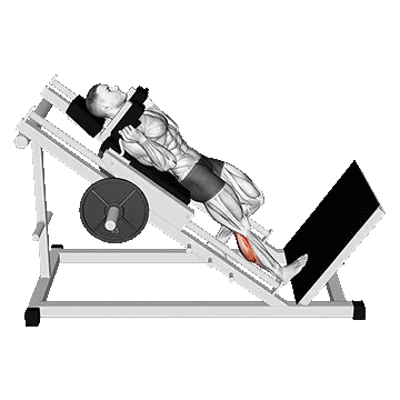 Hack One Leg Calf Raise/هک ساق پا ایستاده تک پا