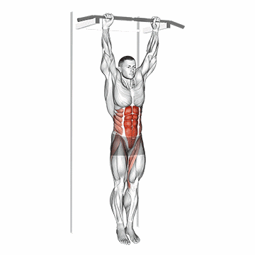 Hanging Leg Hip Raise/کرانچ در حالت بارفیکس