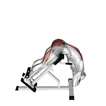 Hyperextension Benefits/هایپراکستنشن کمر(فیله کمر)