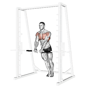 Incline Close Grip Push Up/شنا دست جمع رو هالتر
