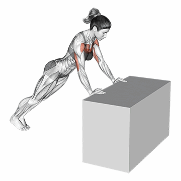 Incline Push Up/شنا رو سطح شیبدار