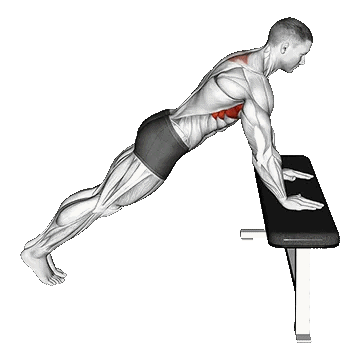 Incline Scapula Push-Up/شنا سوئدی اسکپولا شیب‌دار