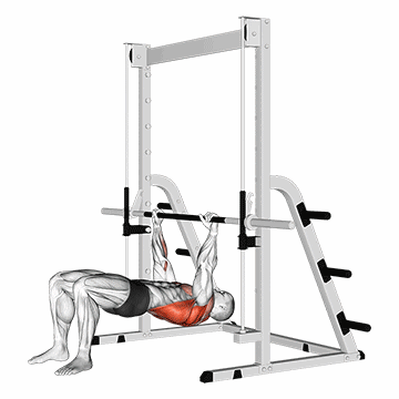 Inverted Row Bent Knees/پارویی معکوس هالتر زانو خم
