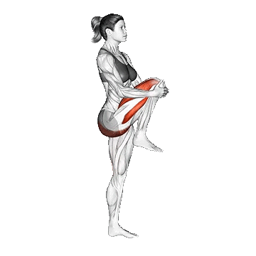 Knee Raise/کشش جلوپا ایستاده
