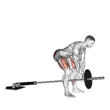 Landmine Romanian Deadlift/ددلیفت رومانیایی لندماین