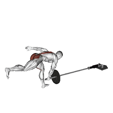 Landmine Single Leg RDL/ددلیفت تک پا لندماین