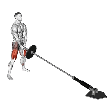 Landmine Sumo Squat/سومو اسکات لندماین