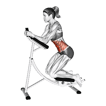 Machine Ab Coaster Crunch/کرانچ کاستر دستگاه