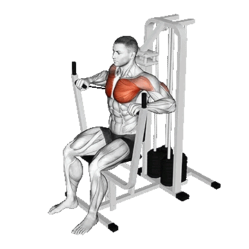Machine Chest Press/پرس سینه دستگاه