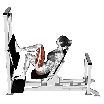 Horizontal One Leg Press/پرس تک پا