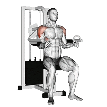 Machine Lateral Raise/نشر جانب دستگاه