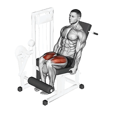 Leg Extension/جلوپا دستگاه
