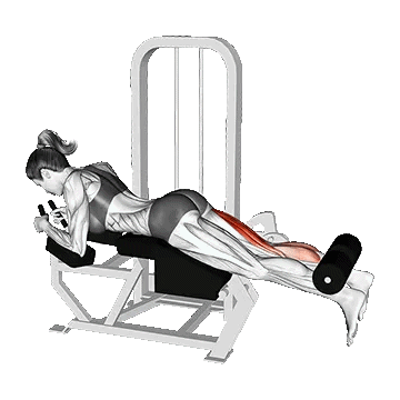 Lying Single Leg Curl/پشت پا خوابیده تک پا