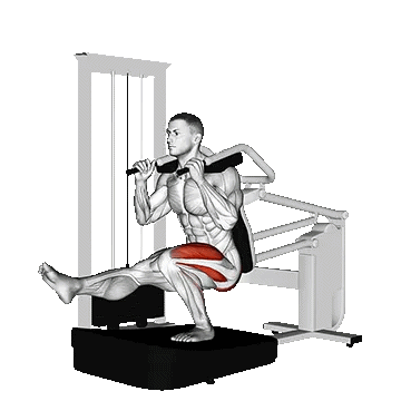 Machine Pistol Squat/پیستول اسکات دستگاه