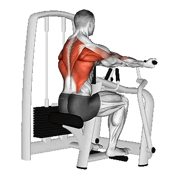 Machine Grip Vertical/پارویی دستگاه