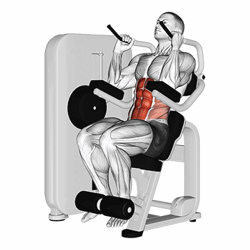 Machine Seated Crunch/کرانچ نشسته دستگاه