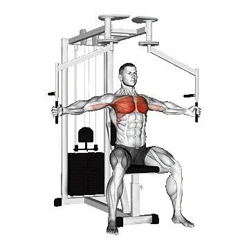 Machine Seated Fly/فلای سینه دستگاه