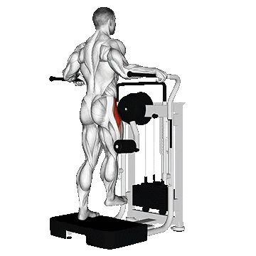 Machine Side Hip Abduction/هیپ ابداکشن دستگاه