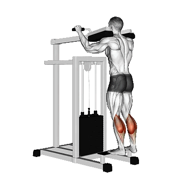 Machine Standing Calf Raise/ساق پا ایستاده دستگاه