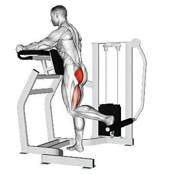 Machine Standing Hip Extension/هیپ اکستنشن دستگاه