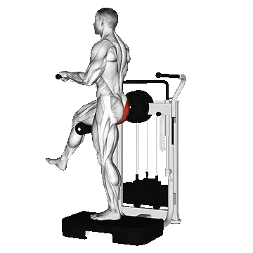 Machine Standing Rear Kick Benefits/کیک بک ایستاده دستگاه