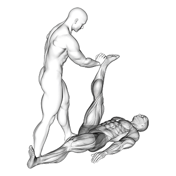 Assisted Lying Hamstring Stretch/کشش همسترینگ خوابیده کمکی