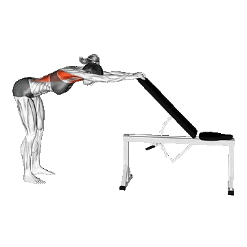 Back Pec Stretch/کشش عضلات پشت سینه