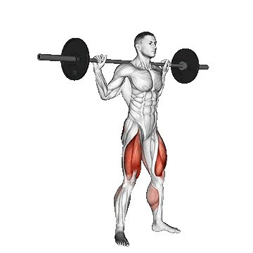 Barbell Jump Squat/جامپ اسکات هالتر