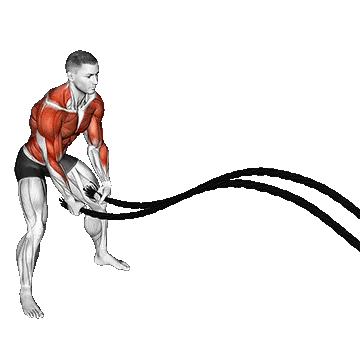 Battle Ropes Power Slam/ بتل روپ ضربه ایی