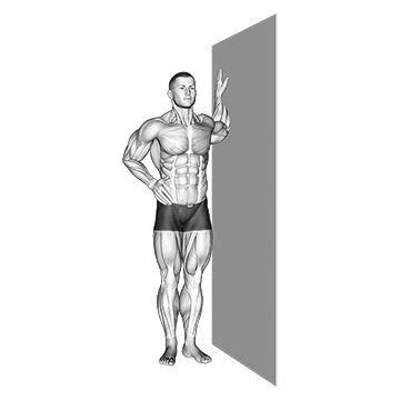 L Chest Stretch/کشش قفسه سینه L