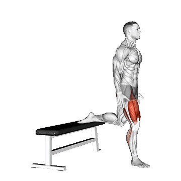 Bulgarian Jump Squat/جامپ اسکات بلغاری