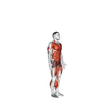 Jumping Burpee/ برپی جامپ