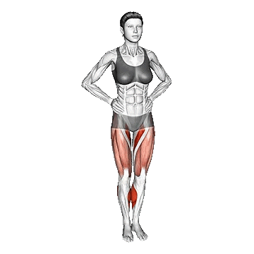 Knee Circles Stretch/کشش دایره‌ای زانو