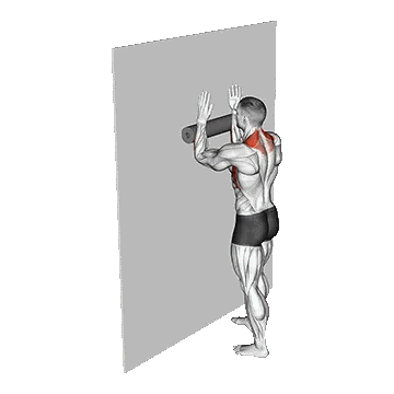 Foam Roll Serratus Wall Slide/وال ساید سراتوس با فوم رول