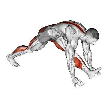 Front Hamstring Stretch/کشش همسترینگ