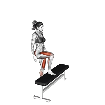 High Knee Step Up/استپ آپ زانو بلند وزن بدن