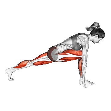 High Lunge Stretch/کشش لانگز