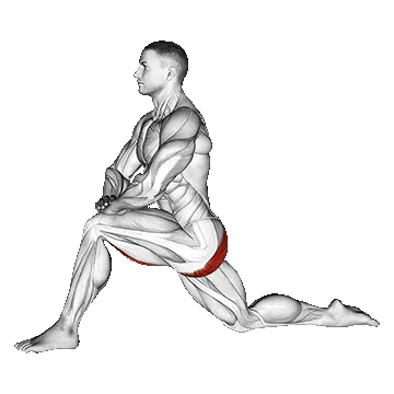 Kneeling Hip Flexor Stretch/کشش خم کننده ران در حالت زانو زدن