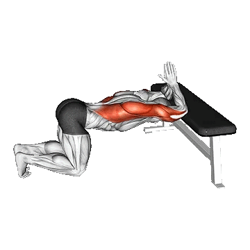 Kneeling Lat Stretch on Bench/کشش لت زانو زده روی نیمکت