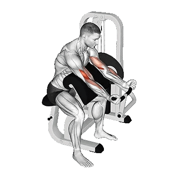 Preacher Curl/جلو بازو لاری دستگاه