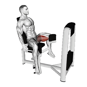 Seated Hip Abduction/داخل ران نشسته دستگاه