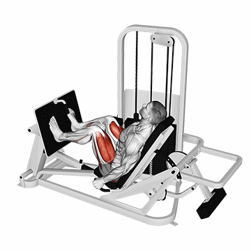 Seated Leg Press/پرس پا نشسته