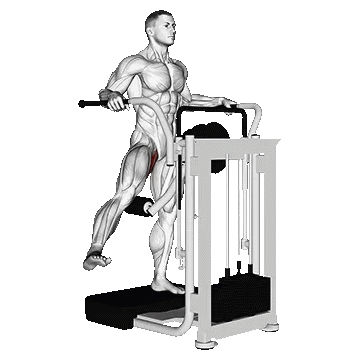 Side Hip Adduction/هیپ اداکشن دستگاه