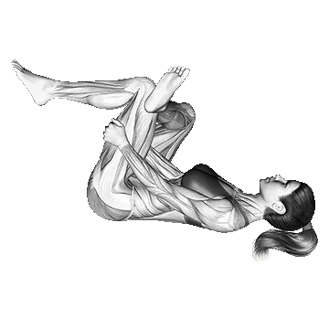 Piriformis Stretch/کشش پریفورمیس خوابیده