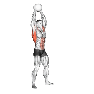 Medicine Ball Overhead Slam/پرتاپ مدیسین بال از بالای سر