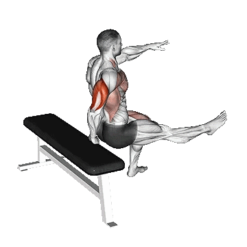One Arm Dip/دیپ نیمکت تک دست